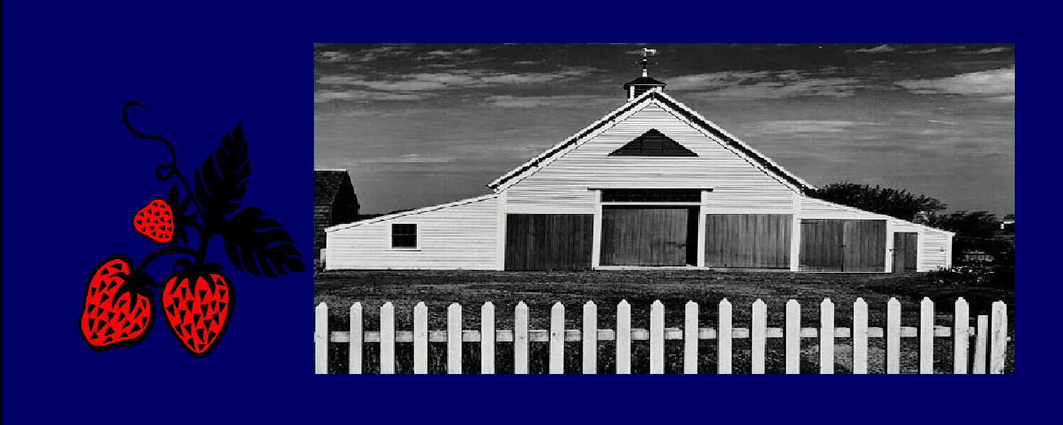 010216anseladams&strawsjpg.jpg